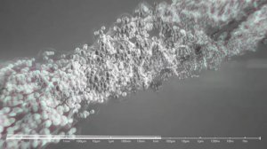 Как выглядит атом, молекулы и частицы.