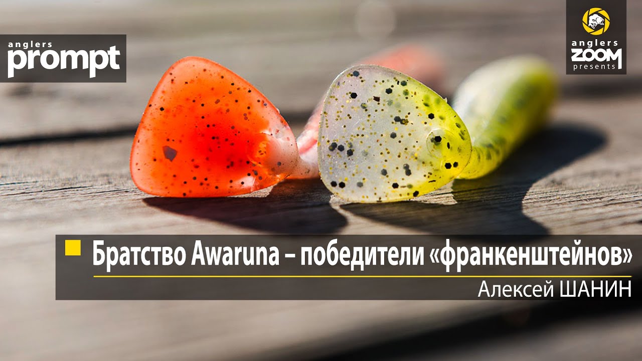 Братство Awaruna – победители «франкенштейнов». Алексей Шанин. Anglers Prompt