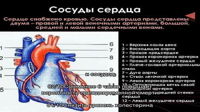 Новости кардиологии смотреть онлайн