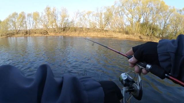 #весна #рыбалка #спиннинг #поклевка #рязань #щука #fish #fishing #video #отдых #природа смотреть онлайн