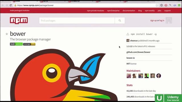 NodeJS - Third Party Modules смотреть онлайн