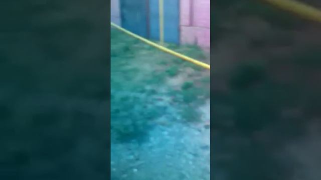 Новокубанский район ст. Бесскорбная 23.08.15г. смотреть онлайн