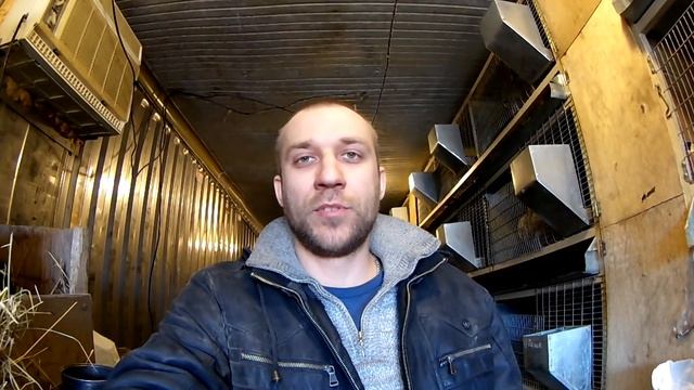 Сено для Кроликов. Давать сено или нет??? смотреть онлайн