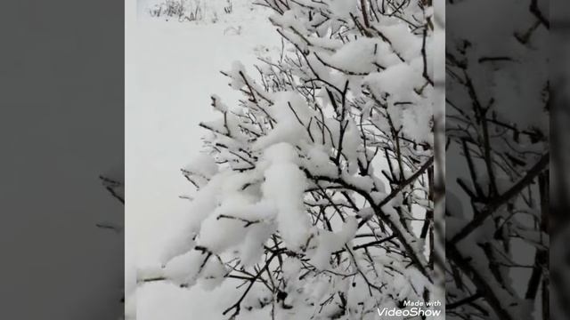 красивые картинки природы смотреть онлайн