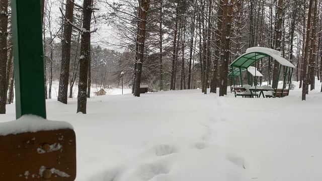 ОНА ВСЕ ОТРИЦАЛА И ГОВОРИЛА, ЧТО НИ В ЧЁМ НЕ ВИНОВАТА | Истории из жизни. смотреть онлайн