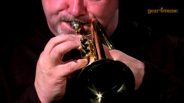 Coppergate Eb Soprano Cornet by Gear4music смотреть онлайн