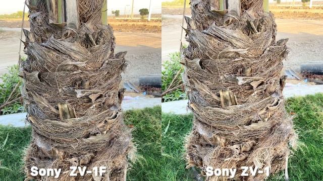 Sony ZV-1F VS Sony ZV-1 Camera Test смотреть онлайн
