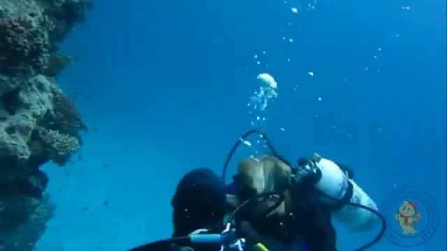 Красное море 2 смотреть онлайн