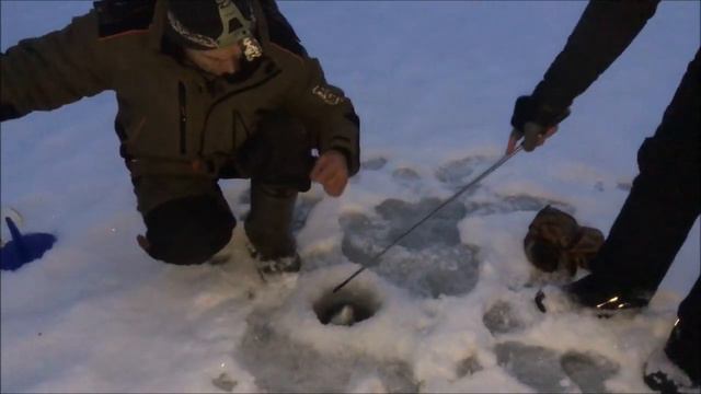 Активный утренний клев форели!!!Поимки на пасту и малька!!! смотреть онлайн