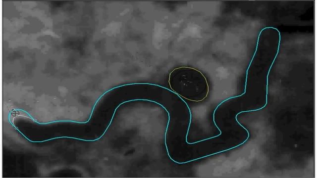 Camber Editor. Main shape correction tool for non-linear objects смотреть онлайн