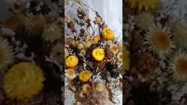 Композиция из сухоцветов (часть 9) - автор Светлана Гусева смотреть онлайн