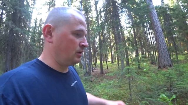 Отдых с семьёй на реке! Показал нашу дачу у реки! смотреть онлайн