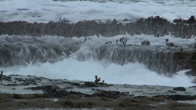 The Endless Winter; Episode 6 - A World Class Wave on Scotland's North Shore смотреть онлайн