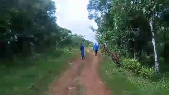 (Property#12) PHP 80 PESOS PER SQM FARM LOT IN LAGUNA смотреть онлайн