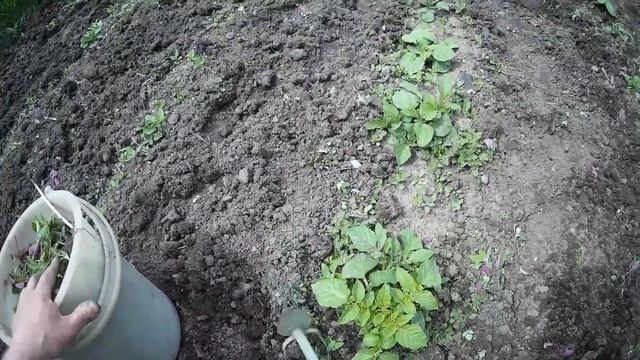 Патриот и картошка (дела домашние) смотреть онлайн