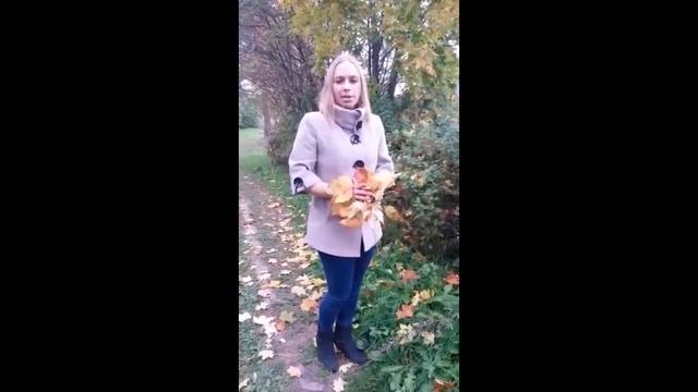 С днём рождения, Александр!!! смотреть онлайн