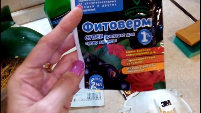 Мучнистый червец:как избавиться от мучнистого червеца на 100% за одну обработку смотреть онлайн