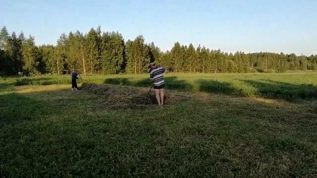 Заготовка сена на зиму. смотреть онлайн