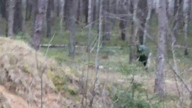 Пейнтбольный клуб VICTORY !!!Молодечно! смотреть онлайн