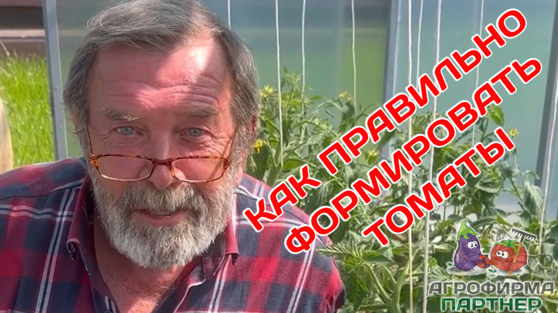 Как формировать томаты? смотреть онлайн
