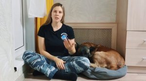 Как выбрать щенка, типы темперамента собак, хороший щенок, тест на психику собаки