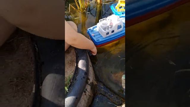 Лягушка в пруду.