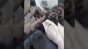 Тойота королла. Чистка дроссельной заслонки (не снимая клапан холостого хода на двигатели 1.4  2008