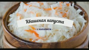Как быстрее квасить капусту. Квашеная капуста с кипятком.