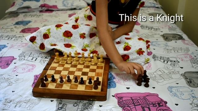 4-Year Kid Learning Chess-Chess For Beginners: Lesson-1:Chess Coins Identification And Arrangement смотреть онлайн
