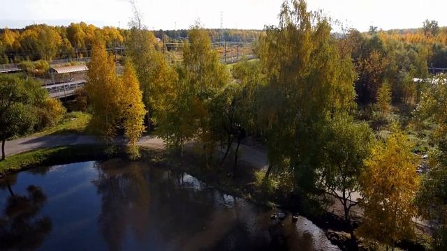 Красный Бор  Поповка. Осень. DJI Mini2