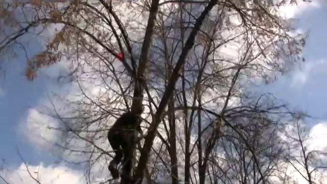 Снимаем мяч с дерева - Для чего нужна физкультура смотреть онлайн