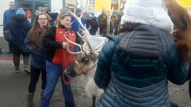 Меха Аляски.США. Анкоридж. смотреть онлайн