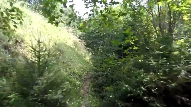 Гонка Чёртова тропа 2020 Эндуро кольчугино Avantis 300 PRO EFI смотреть онлайн