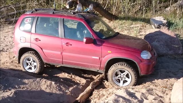 по берегу залива на ниве