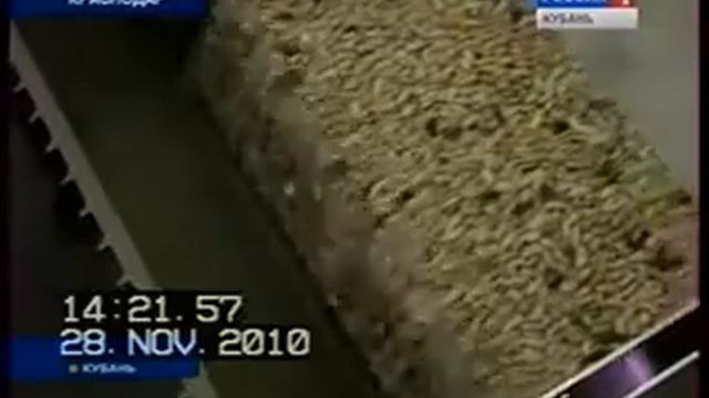 CSORT.FLV смотреть онлайн