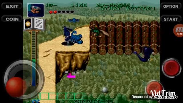 Dark Seal (Nintendo Arcade - mame) смотреть онлайн