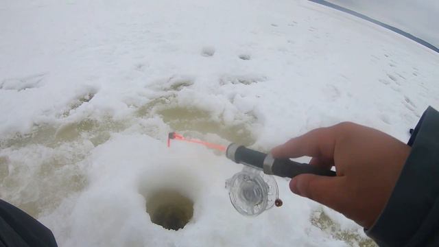 РАЗБУРИЛ КОРЯГУ, ТУТ КЛЮЁТ ДОБРОТНЫЙ ОКУНЬ! ЭТОТ БАЛАНСИР ТАЩИТ ВСЕГДА!!! Рыбалка на окуня смотреть онлайн