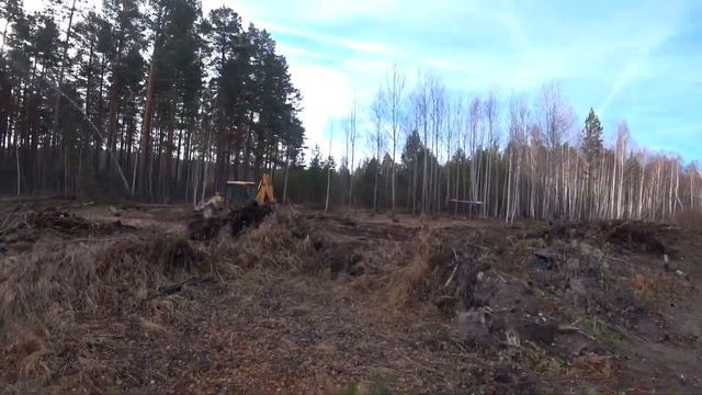 Расчистка участка эскаватором. Участок с лесом смотреть онлайн