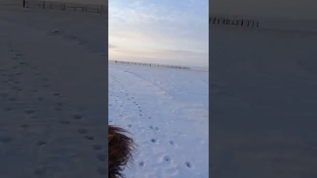 Жабагы жарату смотреть онлайн