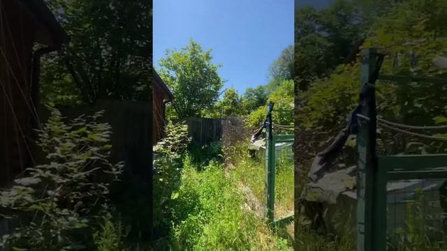 Участок. Каштаны. смотреть онлайн