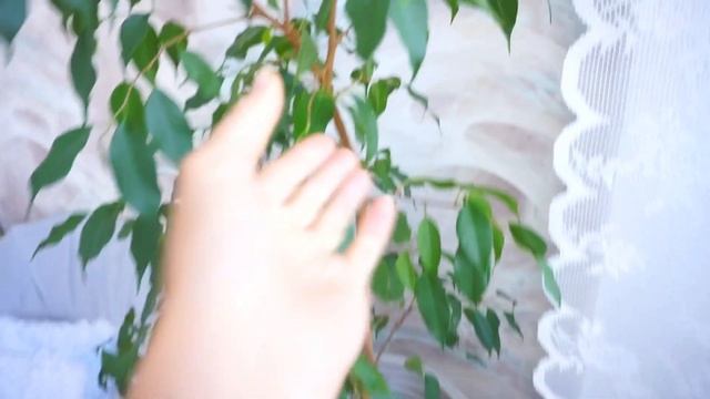 ДОМАШНИЙ ВЛОГ/ РАННИЙ ПОДЪЁМ/ МОЙ УТРЕННИЙ УХОД BIOTHAL/ МОИ ЦВЕТЫ смотреть онлайн