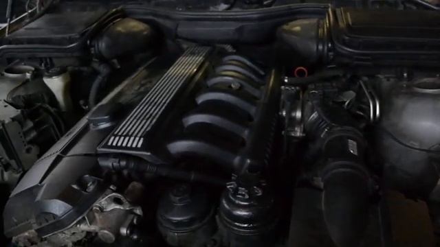 DSC 2258 смотреть онлайн