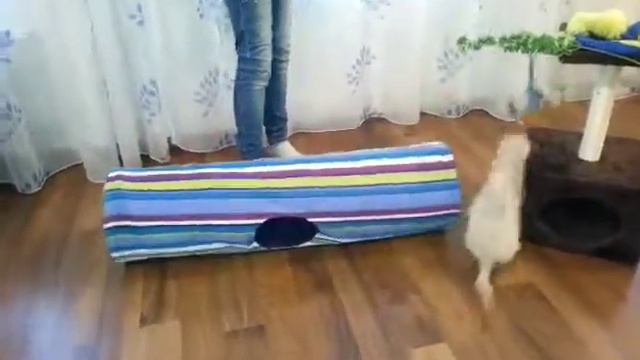 После долгого сна смотреть онлайн
