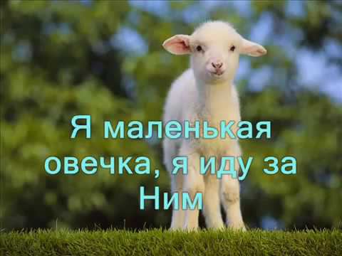 Я маленькая овечка смотреть онлайн