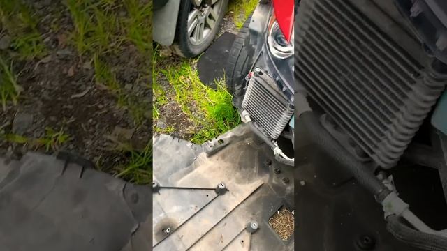 Многие думаю, что Shelby обвес на Ecoboost или GT выглядит круто, но это просто КОЛХОЗ смотреть онлайн