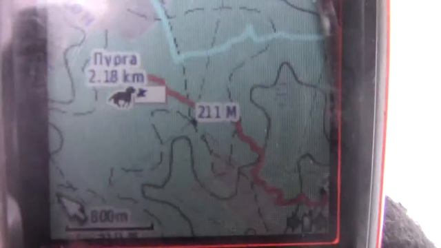 Добыли с Пургой спортивного зайца! / Зимняя Охота на Зайца Беляка смотреть онлайн