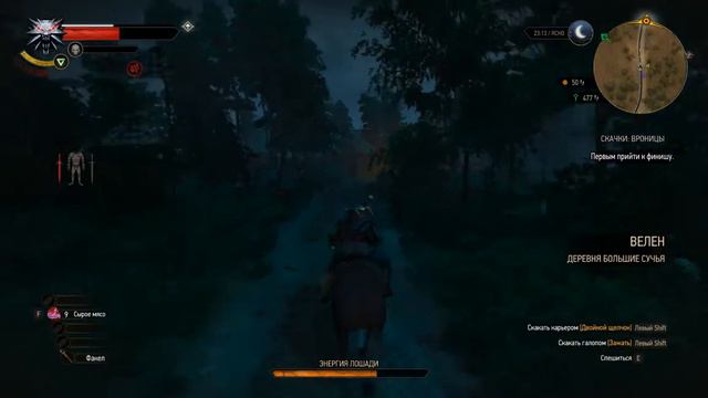 witcher3 Велен Замок Вроницы На северо запад по дороге Скачки Вроницы смотреть онлайн