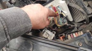 предохранитель заднего левого габарита Рено Сценик 2