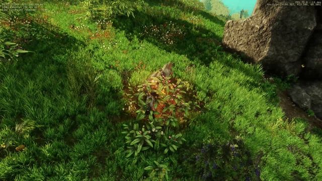 New World Прохождение. Серия 1. Первые впечатления от 