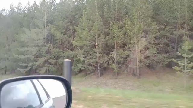 Весенние покатушки..